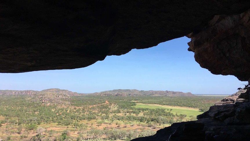 View from inside a cave high up in hills, looking out over Australian bushland