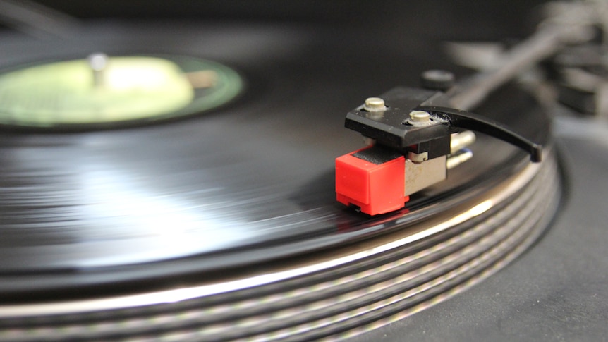 Close up of a needle on a vinyl record