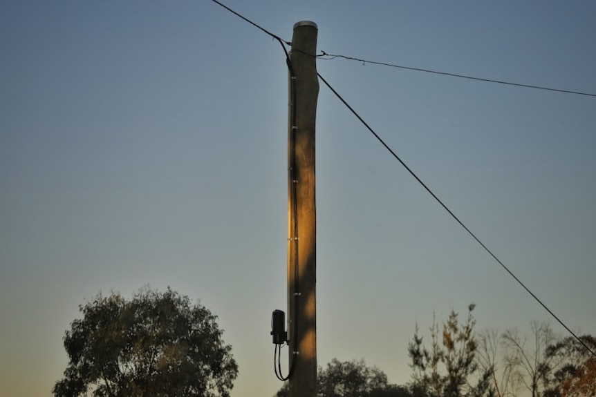 A telephone pole at dusk.