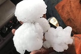 a man holds large white hailstones