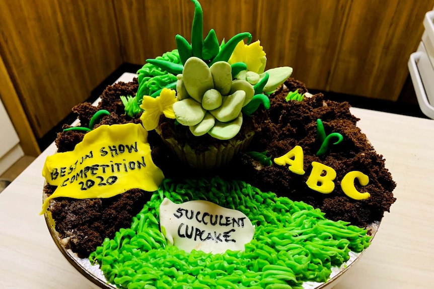 Photo from above of a cake with icing made to look like succulents and soil, with words Succulent cupcake, ABC, & best in Show