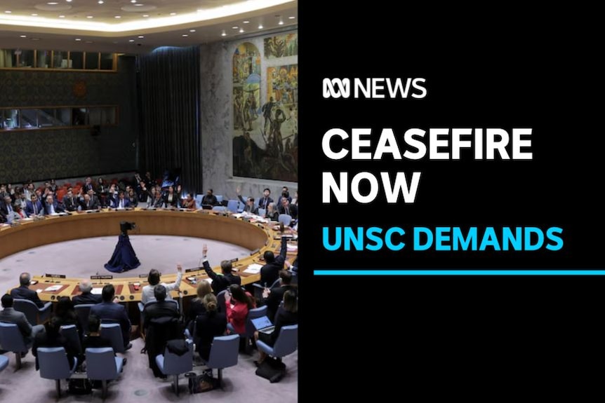 Ceasefire Now, UNSC Demands: Some people raise hands during a UN Security Council meeting.