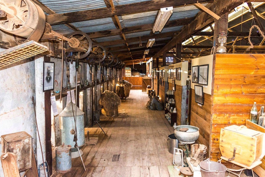 inside of Beltana Station shearing shed