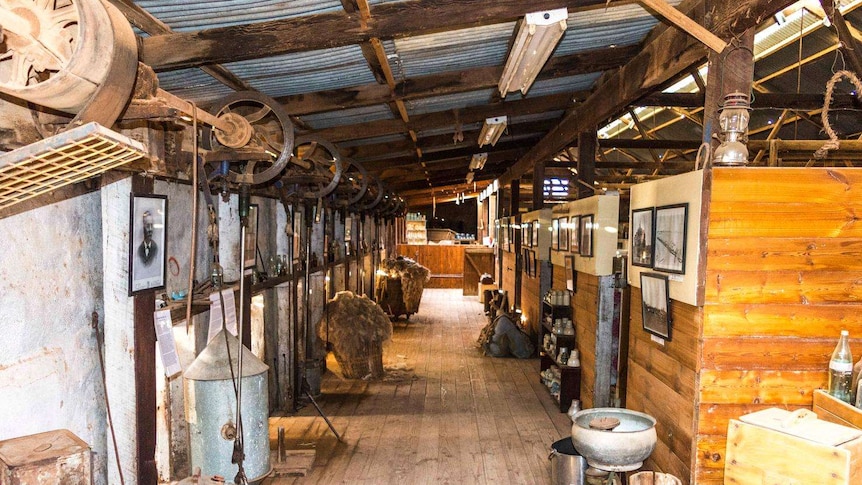 inside of Beltana Station shearing shed