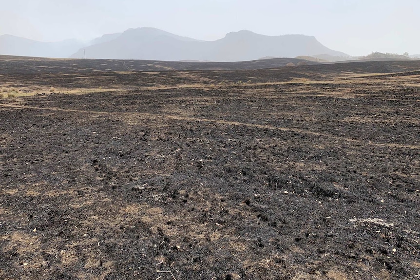 Blackened ground stretches off into the distance. Smoke makes mountains in the distance barely visible.