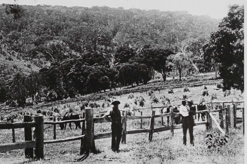 Black and white photograph of Isaacs family standing in paddock, trees behind them, on a farm