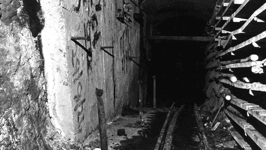 The Greenwich end of the tunnel, cables on concrete shelves on the right and the rail line used for transporting rock.