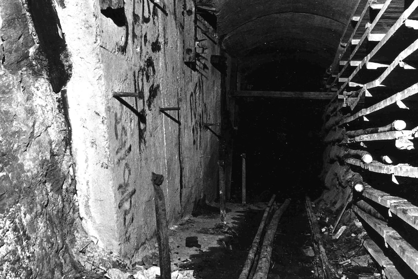 The Greenwich end of the tunnel, cables on concrete shelves on the right and the rail line used for transporting rock.