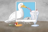 An illustration showing a duck drinking a milkshake.