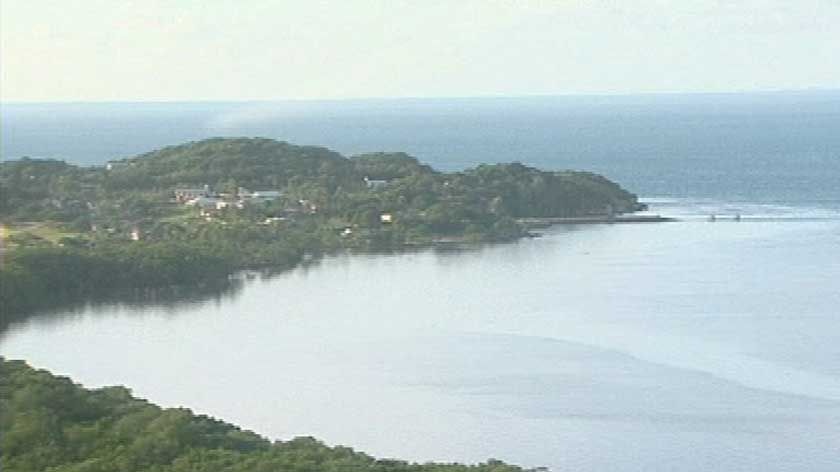 A whistleblower alleges body parts and foetuses were taken from the Thursday Island hospital and buried at the local dump.