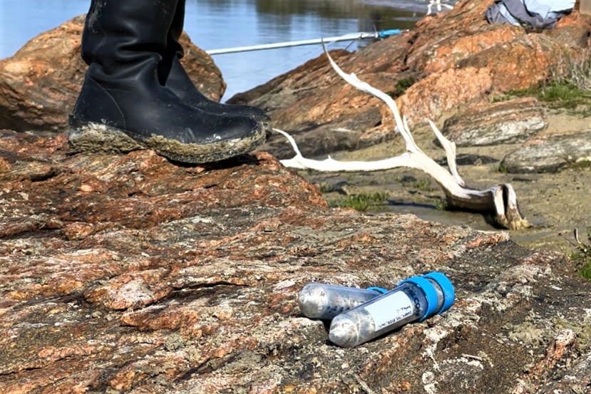 Two tubes with blue caps on a rock near water, a pair of gumboots can be seen to the left.