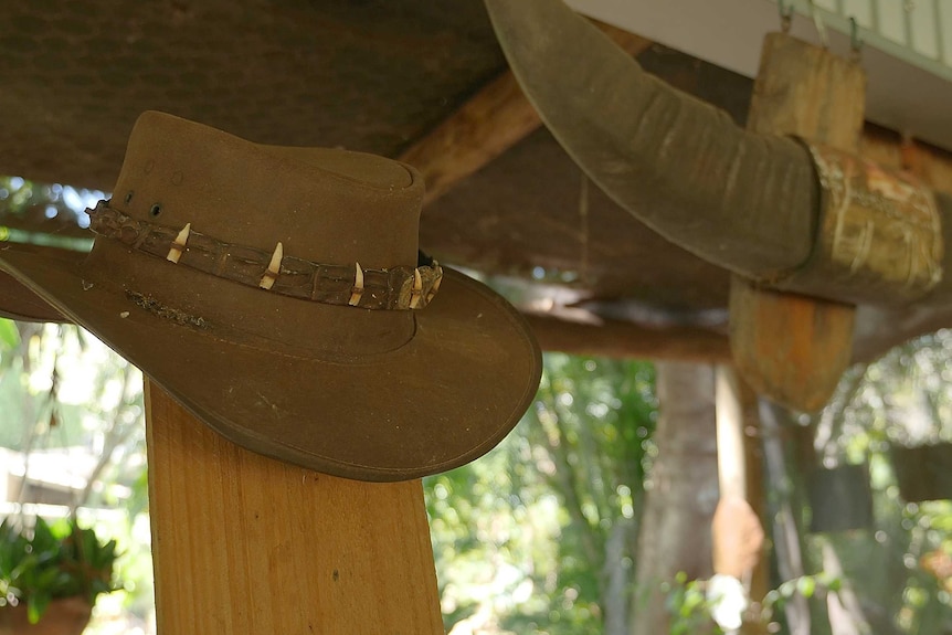 Close up photograph of hat on a hook and bull horns in the background.