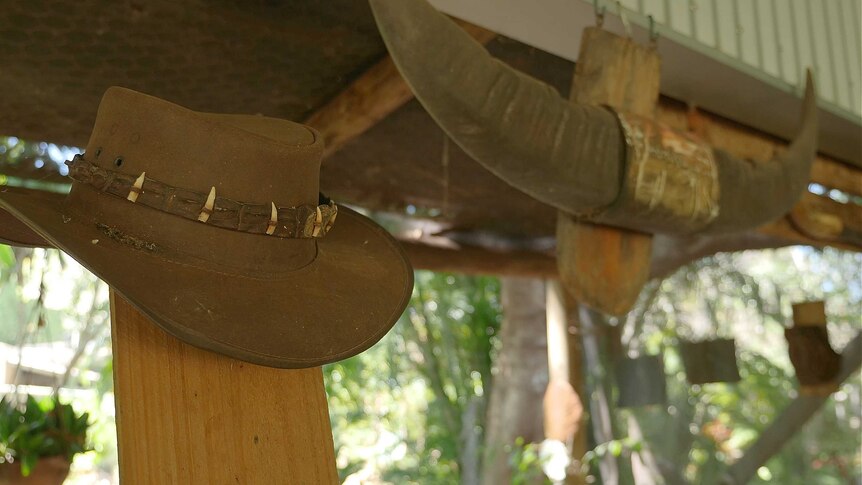 Close up photograph of hat on a hook and bull horns in the background.