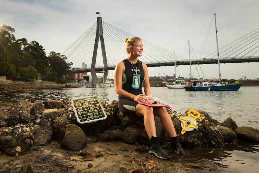 Rebecca Morris at Blackwattle Bay