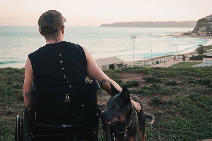 A man in a wheelchair near a beach, with his dog