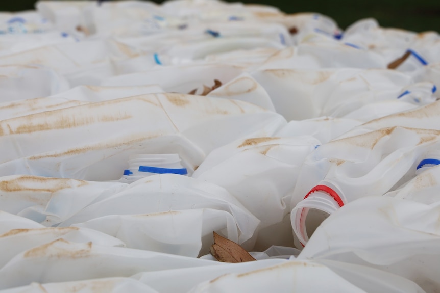 A large number of plastic milk bottles are crushed together