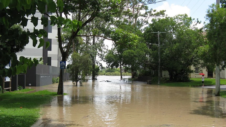 Flooding at Austral Street, St Lucia at 10.30am on January 12, 2011.