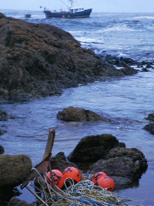 Floats, ropes and other flotsam amongst the rocks with a crayboat anchored in the distance.