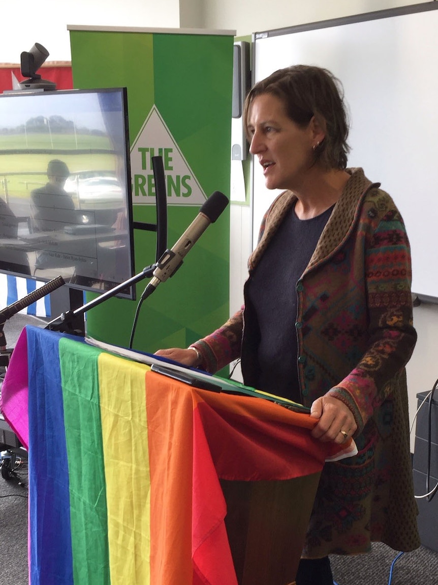 Tasmanian Greens leader, Cassy O'Connor stands at a podium draped in a rainbow flag, addressing the state conference.