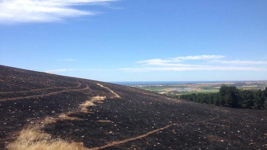 A blaze at Sellicks Hill has blackened hundreds of hectares just south of Adelaide.