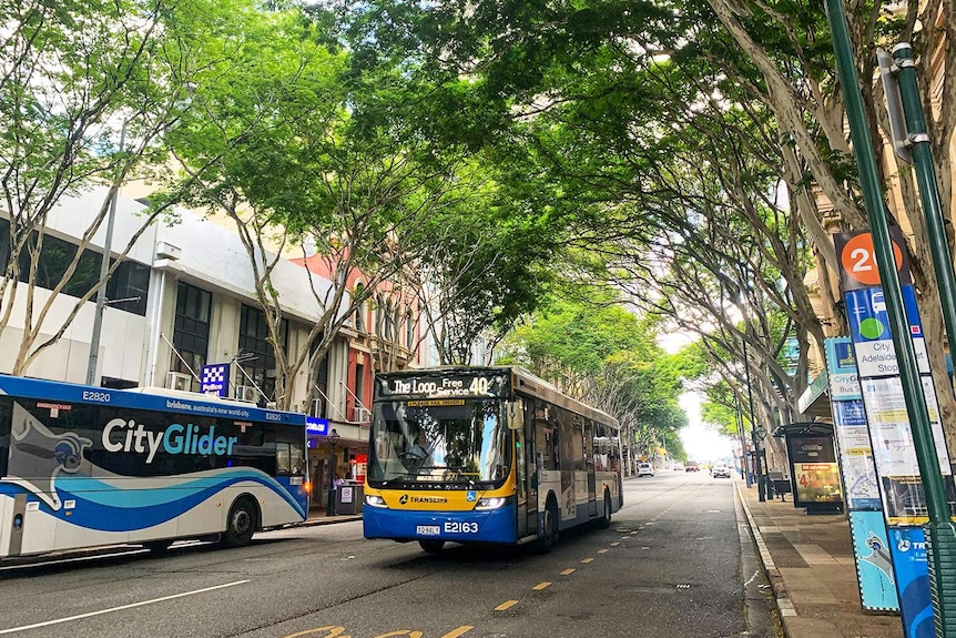 Brisbane City Council buses drive down Adelaide Street in Brisbane's CBD