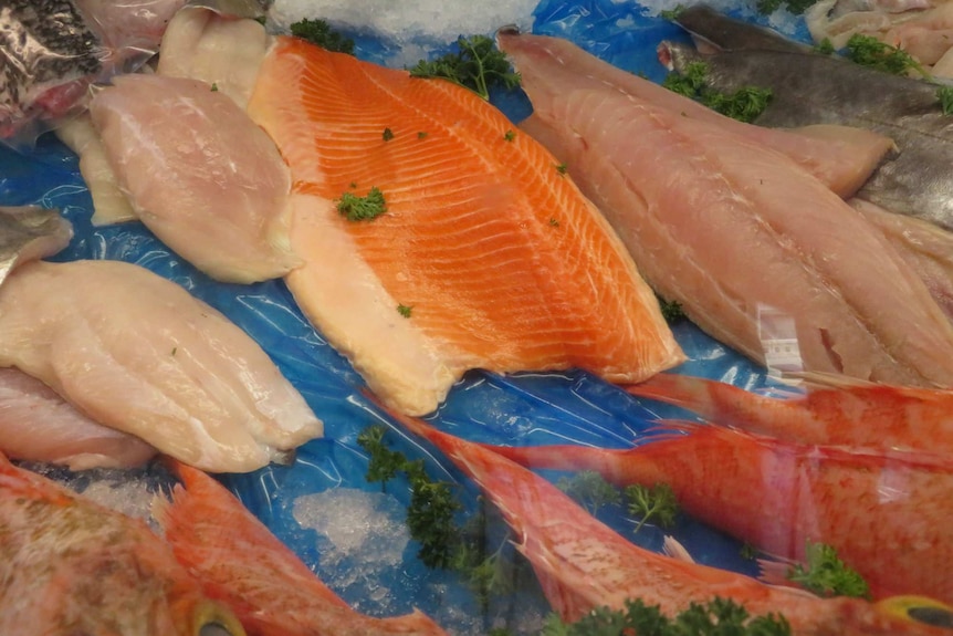 Raw fish in shop, Hobart, February 2019.