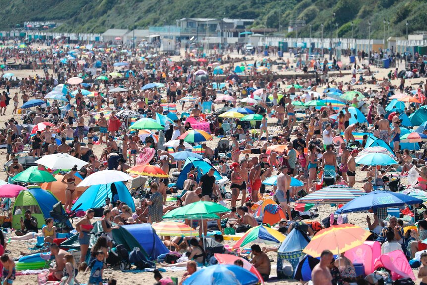 Crowds packed at a beach.