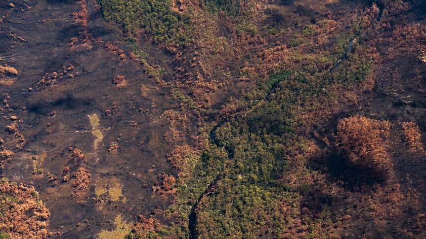 Aerial view of bushfire damage to wilderness in south west Tasmania.