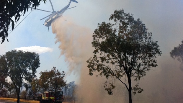 A waterbomber in action