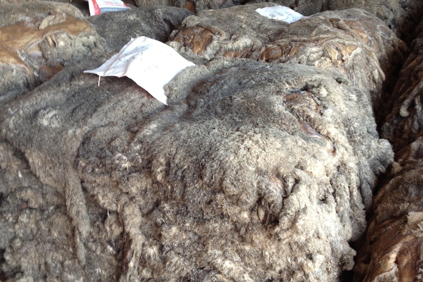 A pile of sheep skins, laid out on a pallet.