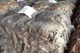 Sheep hides are stacked in a wharehouse