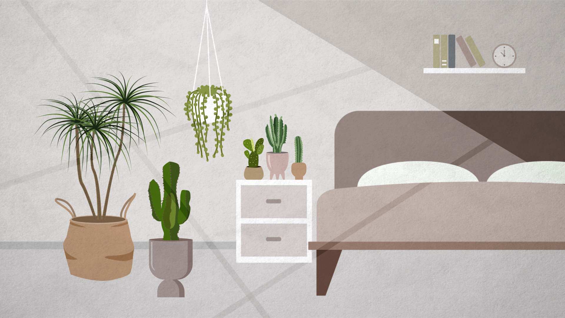 How To Find The Best Light For Indoor Plants Abc Everyday