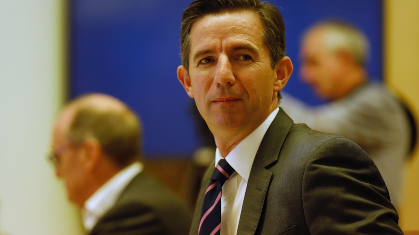 Simon Birmingham in Senate Estimates