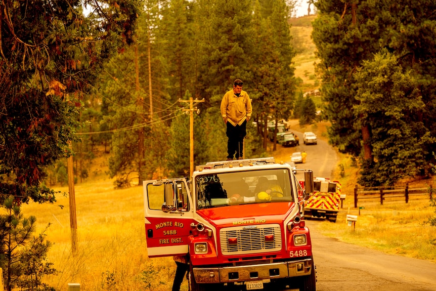 A firefighter stands on top of a firetruck parked on a road. There are large trees either side of the road. 