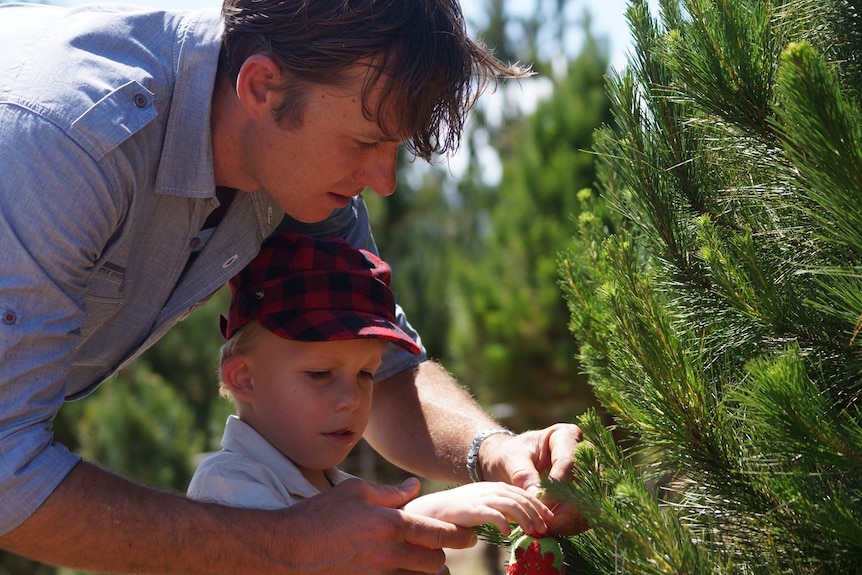 Photo of man and boy looking at pine tree