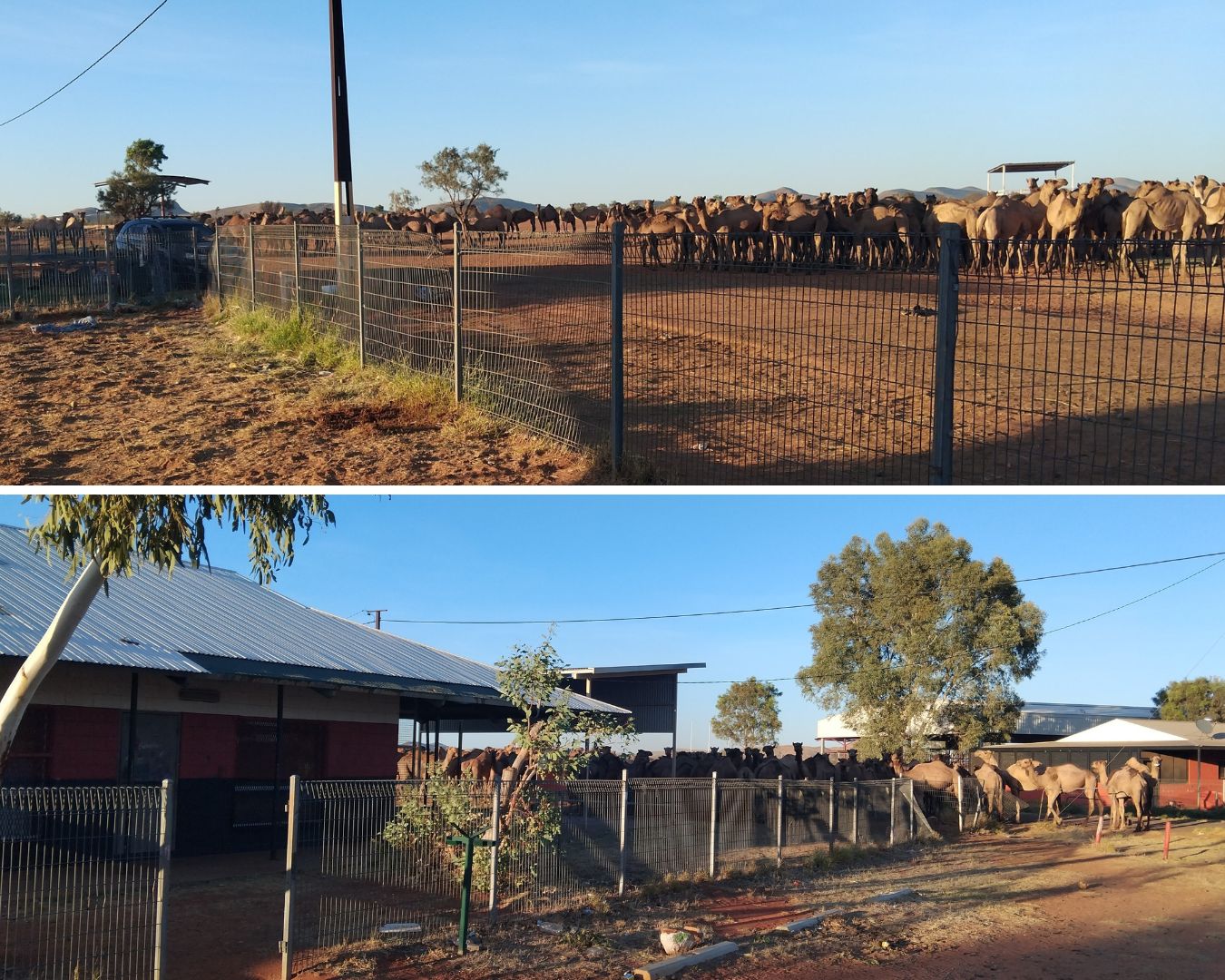 02f34b02d5f0364d47503218b1ca218d?impolicy=wcms_crop_resize&cropH=900&cropW=1350&xPos=0&yPos=90&width=862&height=575