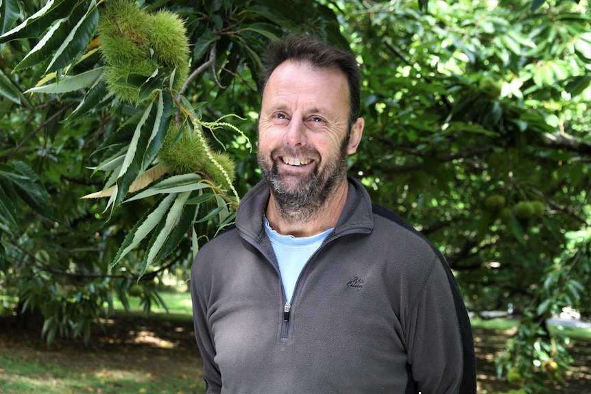 A smiling man with a short beard and brown hair stands in front of chestnut trees. 
