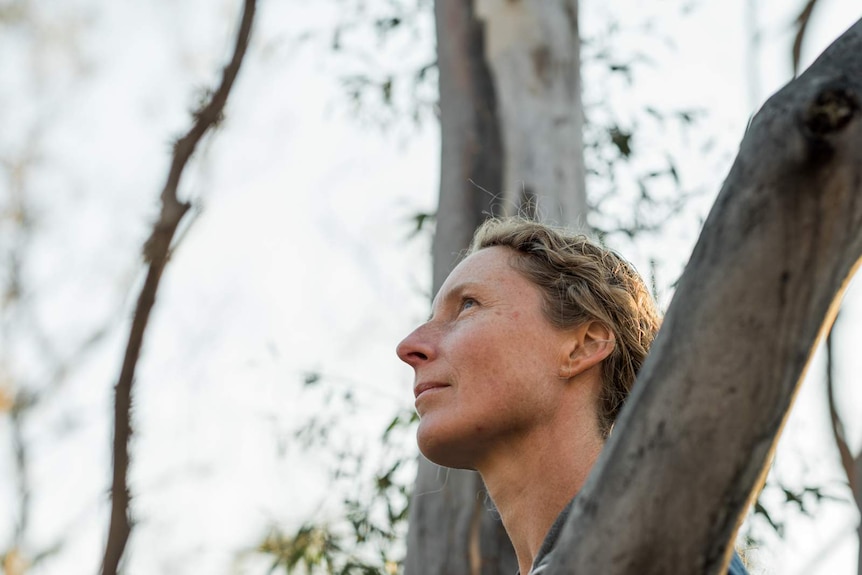 Woman standing in sparse forest looking up at tree thoughtfully.