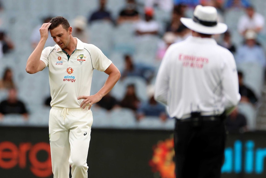 Josh Hazlewood met sa main sur sa tête et regarde vers le bas.  Un arbitre regarde au premier plan