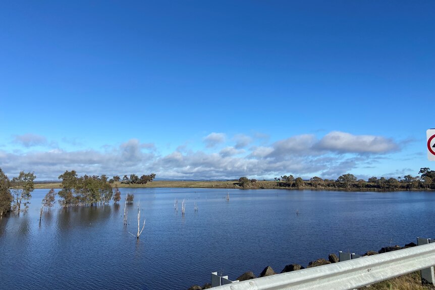 a photo of Lake eppalock from the road shows its high, with the tops of trees poking out