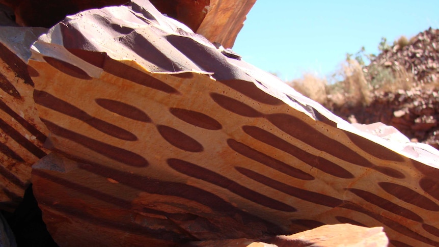 Zebra rock from a mine near the WA/NT border