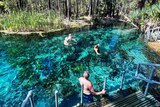 People swimming in a vivid blue thermal pool surrounded by trees. 