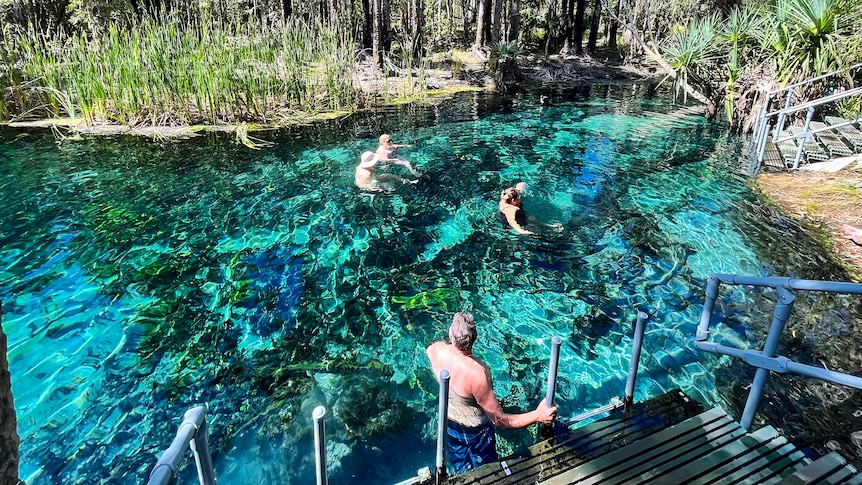 People swimming in a vivid blue thermal pool surrounded by trees. 