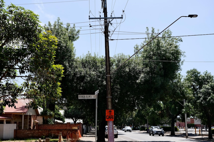 A tree pruned around power lines on a street