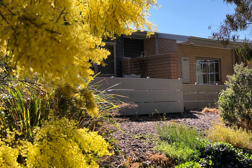 An aged care facility seen through a garden with a wattle tree.