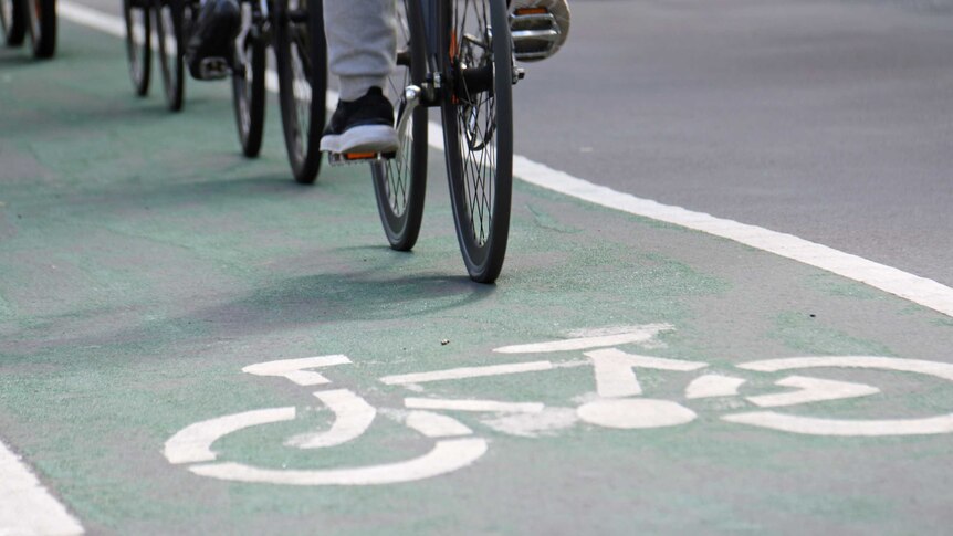 Cyclists ride down a bike lane.