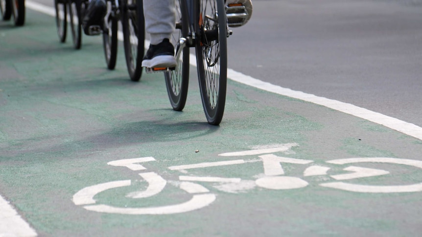 Cyclists ride down a bike lane