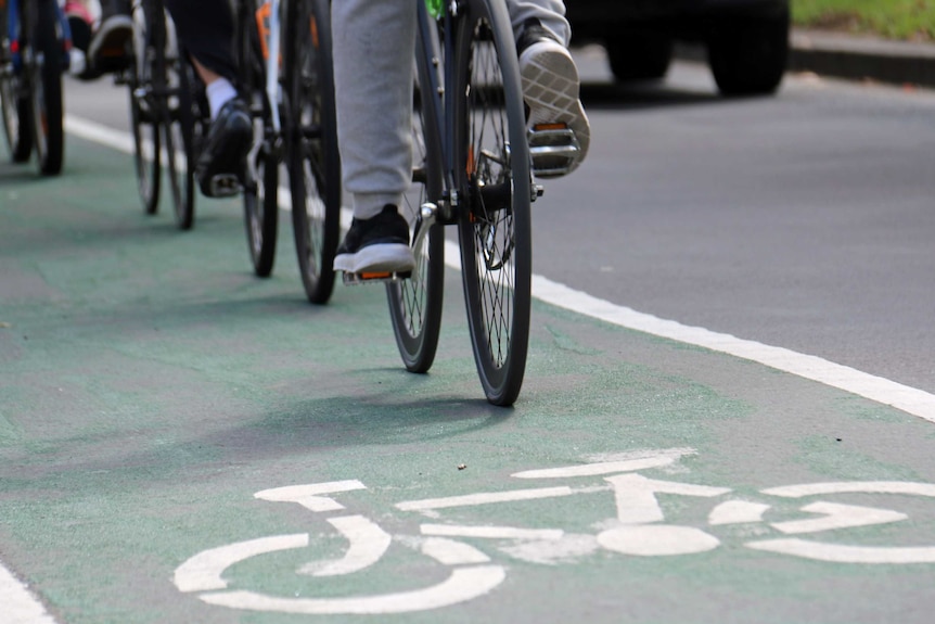 Cyclists ride down a bike lane