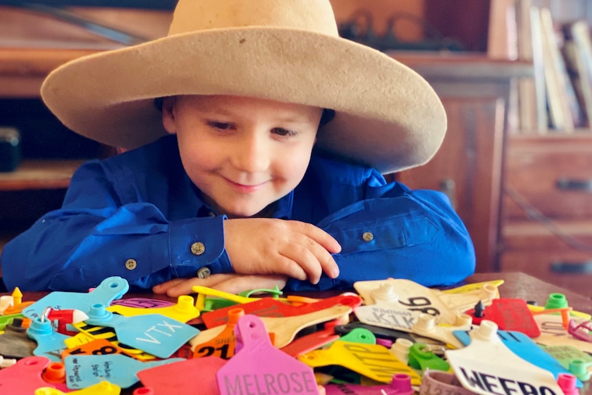 A young boy in a large hat and a work shirt looks over his prodigious collection of ear tags with a satisfied smile.