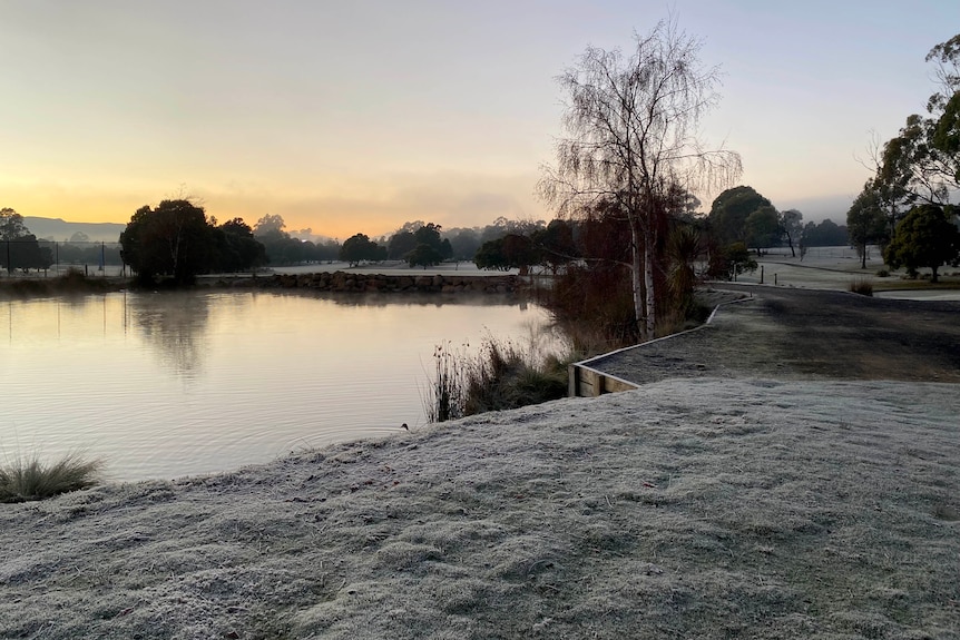 Frost on grass near a lake.